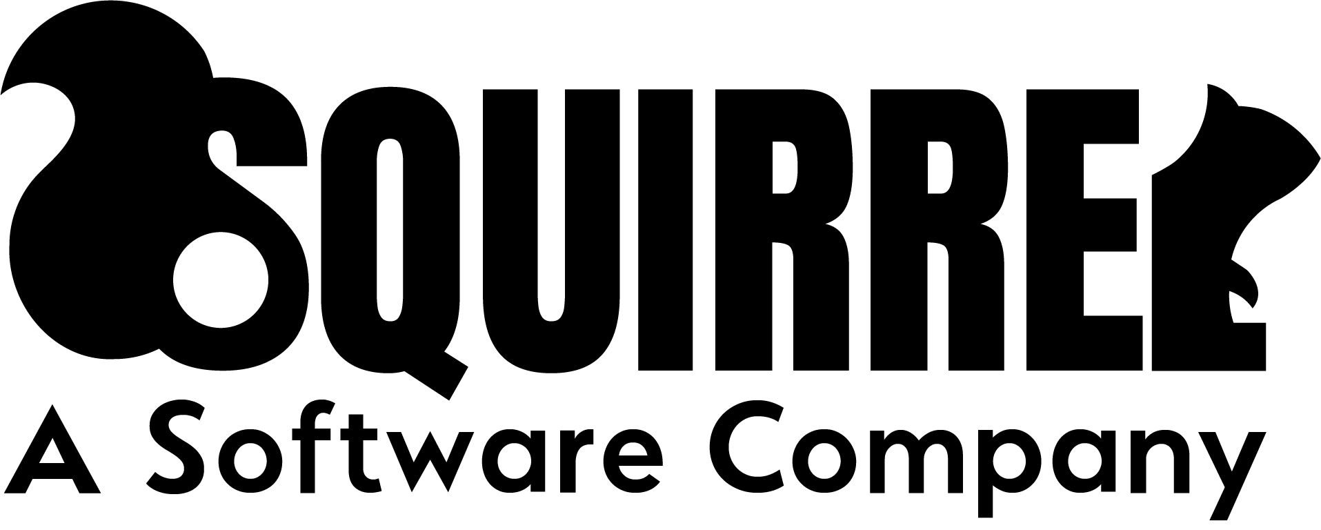 Squirrel - High Performance Software Development Company Logo